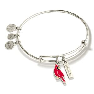 alex and ani symbols and tokens expandable bangle for women, cardinal charm, shiny silver finish, 2 to 3.5 in