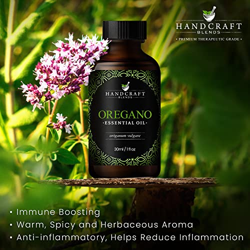 Handcraft Oregano Essential Oil - 100% Pure and Natural - Premium Therapeutic Grade Essential Oil for Diffuser and Aromatherapy – 1 Fl Oz