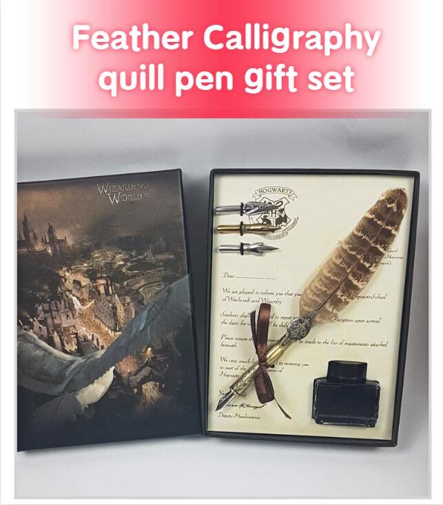 DSWINCE Feather Calligraphy Pen Set for Beginners,Metal Nib Writing Quill Ink Pen Vintage Fountain Dip Pen Gift Set (Owl feather pen)