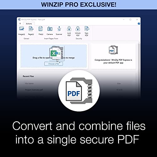 WinZip 27 Pro | File Management, Encryption, Compression & Backup Software [PC Download]