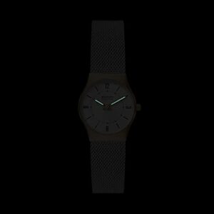 Skagen Women's Grenen Lille Three-Hand Stainless Steel Mesh Watch (Model: SKW3046)
