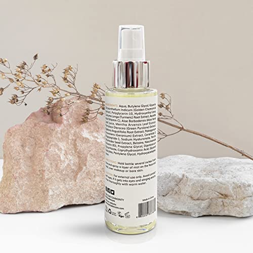 NU2U Skincare NU Renu Toner | Niacinamide Facial Toner for Hyperpigmentation | Pore Reducing Toner Minimizes Enlarged Pores | 3.38 fl. Oz