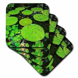 3drose lilly pads in ginger garden at singapore botanic gardens,... - coasters (cst-366353-1)