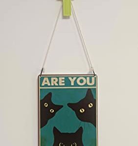 Black Cat Are You Pooping Funny Tin Signs Bathroom Wall Decor 8 x 12 Inch (918)