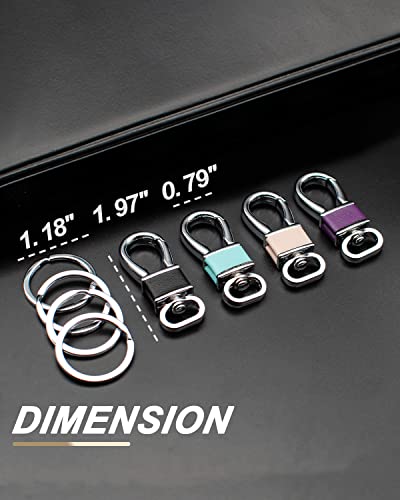 FEYOUN 4 Pack Metal Carabiner Keychain Key Clip Hook, 4 Key Rings Car Key Chain Clips Ring Holder Organizer for Men and Women, Car Accessories, Multi Color