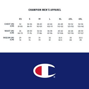 Champion, Relaxed Fit Men, Midweight T-Shirt, 100% Cotton, Country Walnut with Taglet, Medium