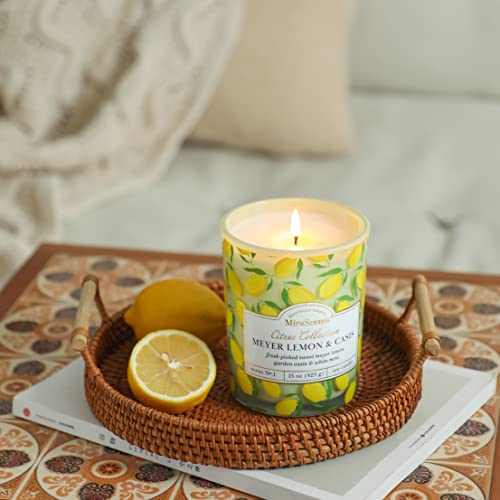 Lemon Fruit Scented Summer Candles Fragrance 15oz Large Jar Candle Gift Decal Jars for Home Gift for Men Women (Lemon)