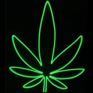 dispensary sign. neon leaf. collective shop accessories green indoor display business wall decor. commercial decorations for brick mortar store. bright xl 20”x18” light, hanging, 8 mode.