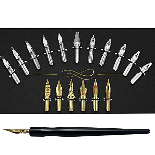 FEATTY Calligraphy Pens Set - 17 Pieces Stainless Steel Calligraphy Pen Nibs with 1 Piece Nib Holder for Writing Painting Signing Christmas Present