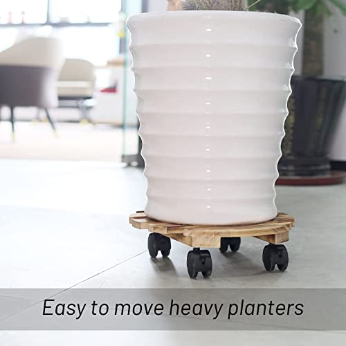 CuffUp Upgraded Plant Stand with Wheels, Plant Caddy 220 LB Heavy Duty Rolling Plant Stand No Screw-in Installation Required, Plant Caddy 220 LB Heavy Duty with Wheels, Solid Indoor Plant Dolly 2 PCS