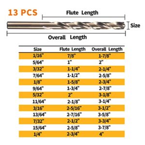 RCINDUS 13PCS Cobalt Drill Bit Set 1/16"-1/4", HSS M35 Metal Drill Bits for Steel, Stainless Steel, Cast Iron, Hard Plastic and Wood