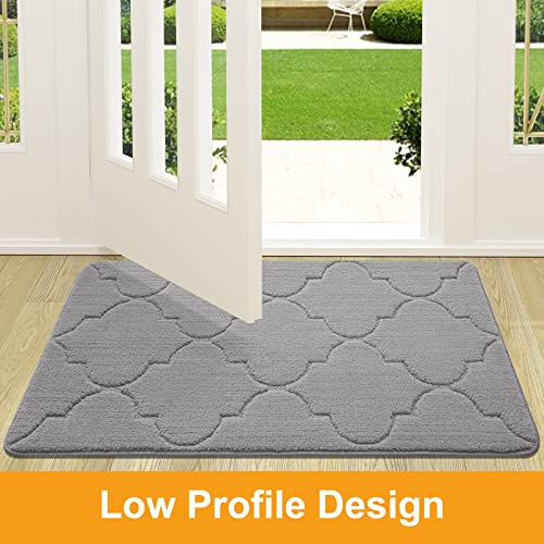 Arotive Door Mat, Indoor Mat, Non-Slip, Dirt Resist, Absorbent Entryway Doormat, Low-Profile Inside Front Doormats for Entrance (32x20 inches, Grey)