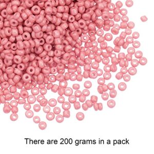 HARFINGTON 12000Pcs Pony Beads Glass Beads 12/0 2mm Loose Tiny Round Small Beads for Bracelet Earring Rings Jewelry Making, Watermelon Pink