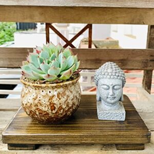 HNQCPCVU Wood Riser, Beautiful Wood Pedestal Stand, Charming Wood Risers for Decor (Rectangle)