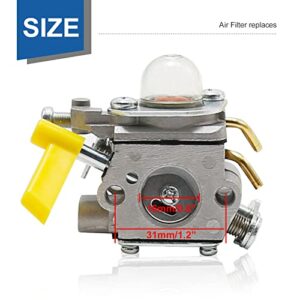 Zreneyfex Carburetor with Air Filter Tune Up Kit Replacement for Ryobi EX26 SS26 SS30 Homelite 308054015 308054028 308054034 309368003 985624001 25cc 26cc 30cc Trimmer Leaf Blower