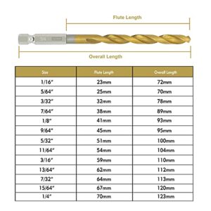 GMTOOLS 13 Pcs Titanium Coated Twist Hex Shank Drill Bit Set, 135 Degree Tip HSS Impact Drill Bit Set with Storage Case for Metal, Aluminum, Steel, Wood, Plastic, Quick Change Design 1/16" to 1/4"