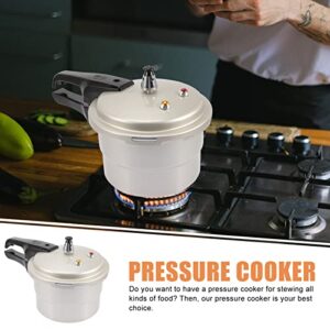 Operitacx Pressure Cooker 10 Quart Aluminum Pressure Cooker Mini Small Cooking Pot Gas Steamer Electric Ceramic Stove Safety Pressure Cooker For Induction All Cooktops 3L Pressure Canner