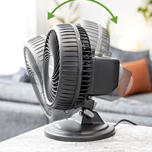 HOLMES BLIZZARD 7" Table Fan, 2 Speeds, 3 Blades, 85° Oscillation, 20° Adjustable Head, Home, Bedroom and Office, Charcoal Matte