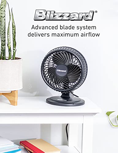 HOLMES BLIZZARD 7" Table Fan, 2 Speeds, 3 Blades, 85° Oscillation, 20° Adjustable Head, Home, Bedroom and Office, Charcoal Matte