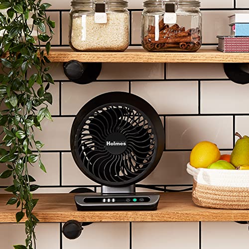 HOLMES Blizzard 6" Air Circulator Digital Fan, 3 Speeds, 90° Adjustable Head Tilt, Capacitive Touch Control, Ideal for Home, Bedroom, Kitchen or Office, Black