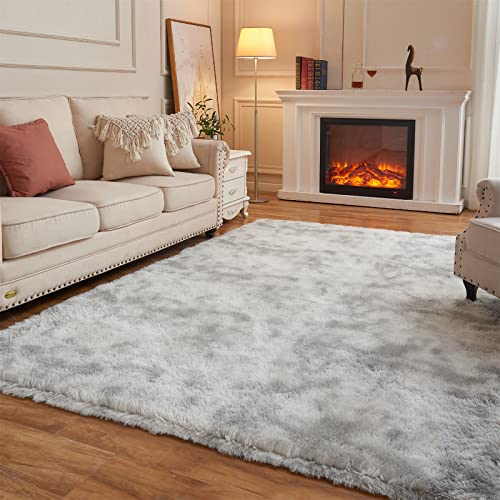 Arbosofe Fluffy Soft Area Rugs for Bedroom Living Room, Tie Dyed Light Grey Shaggy Rugs 8 x 10 Feet, Carpet for Kids Room, Throw Rug for Nursery Room, Fuzzy Plush Rug for Dorm, Cute Room Decor