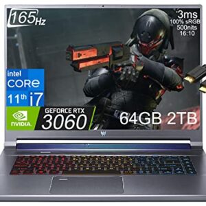 Acer Predator Helios Triton 500 SE 16" QHD+ 165Hz (Intel Core i7-11800H, 64GB RAM, 2TB SSD, RTX 3060 6GB) Gaming Laptop, 500 nits, RGB Backlit, Thunderbolt 4, IST HDMI, Win 10 Home/Win 11 Home