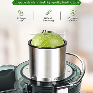 Healnitor 1000W 3-Speed LED Centrifugal Juicer Machines Vegetable and Fruit, Stainless Steel 3.5" Big Mouth, Easy Clean, High Juice Yield, BPA Free, Stainless Steel