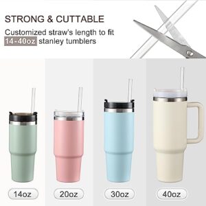 12 Pack, [DISHWASHER SAFE] Replacement Straws for Stanley 40 oz 30 oz 20 oz 14oz Cup Tumbler, High Clear Reusable Straws with 2 Cleaning Brushes, Food Grade Plastic, Compatible Accessories for Stanley