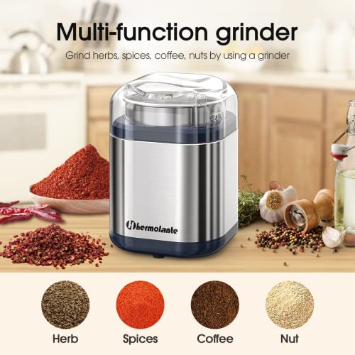 Hermolante Herb Grinder Spice Grinder, 200 w Herb Grinder with Stainless Steel Blade and Cleaning Brush, Compact Size Electric Grinder for Herbs and Spices - 5.11in (Stainless Steel)