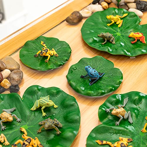 32 Packs Mini Plastic Frog Toys and Artificial Lily Pads,Include 12 colorful Plastic Frogs and 20 Floating Lily Pads for Ponds，Rainforest Animals Figures Character Toys and Artificial Pond Plants for Garden Home Pool Decor Party Favor