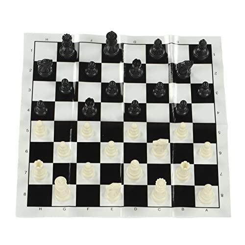 Zerone Portable Chess Set,International Plastic Chess Set with 25CM Plastic Film Chessboard and Storage Bag PS International Chess for Adults Kids (Black and White)