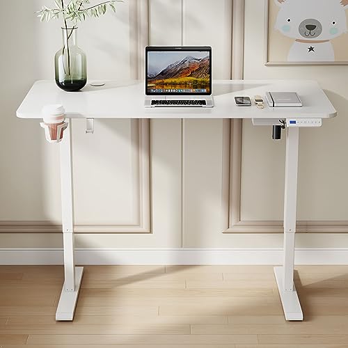 LCVXYERQ 63x24inch Adjustable Desk Stand up Desk Electric Standing Desk Adjustable Height Sit Stand Home Office Desk Including Splice Table Plate White