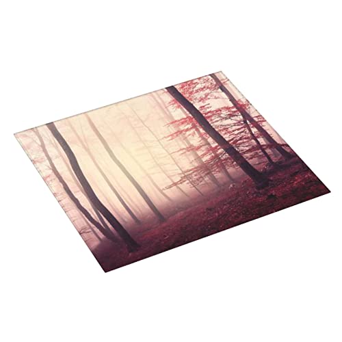 Foggy Forest Jungle Wilderness Printed Drying Mat For Kitchen Ultra Absorbent Microfiber Dishes Drainer Mats Non-Slip Silicone Quick Dry Pad - 18 X 16inch