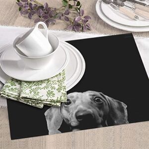 Funny Dog Printed Drying Mat For Kitchen Ultra Absorbent Microfiber Dishes Drainer Mats Non-Slip Silicone Quick Dry Pad - 18 X 16inch