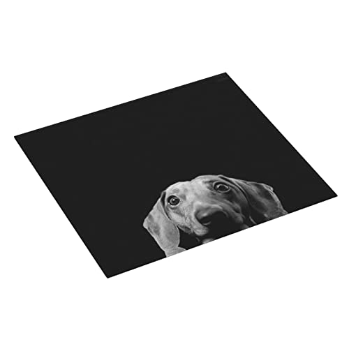 Funny Dog Printed Drying Mat For Kitchen Ultra Absorbent Microfiber Dishes Drainer Mats Non-Slip Silicone Quick Dry Pad - 18 X 16inch