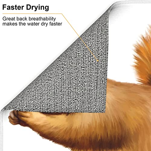 Lively Squirrel Printed Drying Mat For Kitchen Ultra Absorbent Microfiber Dishes Drainer Mats Non-Slip Silicone Quick Dry Pad - 18 X 16inch