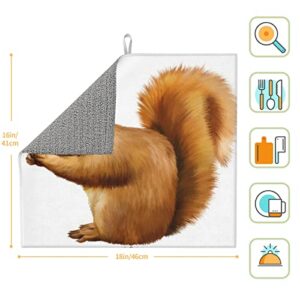 Lively Squirrel Printed Drying Mat For Kitchen Ultra Absorbent Microfiber Dishes Drainer Mats Non-Slip Silicone Quick Dry Pad - 18 X 16inch