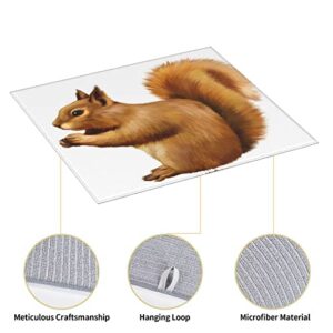 Lively Squirrel Printed Drying Mat For Kitchen Ultra Absorbent Microfiber Dishes Drainer Mats Non-Slip Silicone Quick Dry Pad - 18 X 16inch