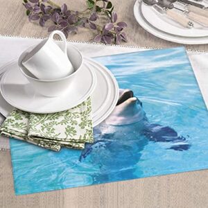 Happy Dolphin Printed Drying Mat For Kitchen Ultra Absorbent Microfiber Dishes Drainer Mats Non-Slip Silicone Quick Dry Pad - 18 X 16inch