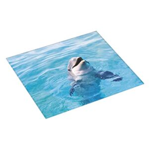 Happy Dolphin Printed Drying Mat For Kitchen Ultra Absorbent Microfiber Dishes Drainer Mats Non-Slip Silicone Quick Dry Pad - 18 X 16inch