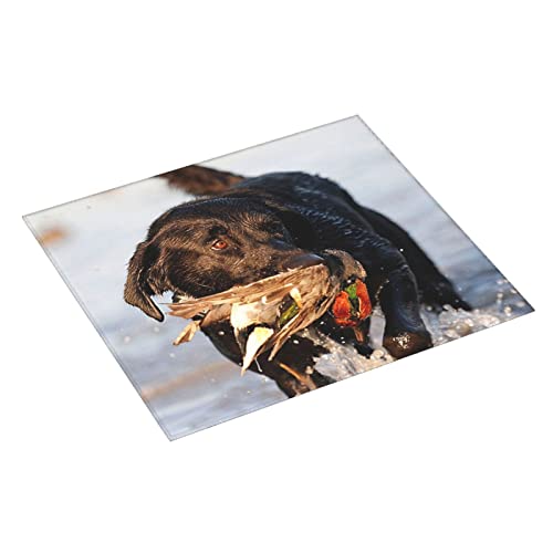 Funny Dog Hunting Duck Printed Drying Mat For Kitchen Ultra Absorbent Microfiber Dishes Drainer Mats Non-Slip Silicone Quick Dry Pad - 18 X 16inch