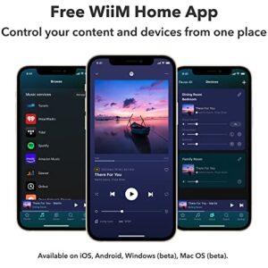 WiiM Pro AirPlay 2 Receiver with Voice Remote, Chromecast Audio, Multiroom Streamer, Stream Hi-Res Audio from Spotify, Amazon Music, Tidal and More