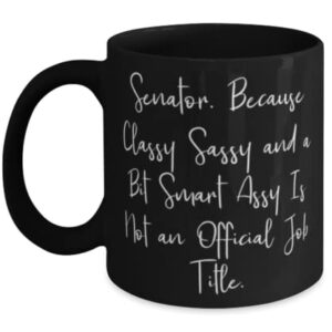 Unique Idea Senator Gifts, Senator. Because Classy Sassy and a Bit Smart, Graduation 11oz 15oz Mug For Senator from Coworkers, Congressional gifts, Political gifts, Gifts for senators, Senator gift