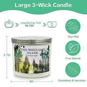 3 Wick Scented Candles Gifts for Women, 3 Pack 13.4 Oz Large Candles for Home Scented, Soy Wax Long Lasting in Total 225 Hours Jar Candles for Birthday, Mother's Day, Anniversary, Thanksgiving