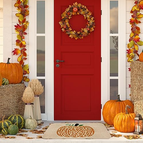 AnyDesign Pumpkin Doormat Fall Front Door Mat with Anti-Slip Rubber Back Orange Leopard Print Pumpkin Floor Mat Rug for Thanksgiving Autumn Harvest Farmhouse Kitchen Bedroom, 17 x 29 Inch