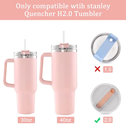 Dasgude Spill Proof Stopper Set for Stanley 40 oz Tumbler with Handle 30 oz, Straw Cover Cap Compatible with Quencher H2.0 Stanley Cup, Silicone Straw Topper for Stanley Cup Accessories, 6 PCS