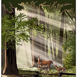 Retro Funny Metal Sheet Signs California, Redwoods and Deer, Wall Decoration, size:8 x 12
