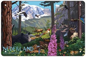retro funny metal sheet signs nederland, colorado, wildlife,bear, deer,elk, wall decoration, size:8 x 12