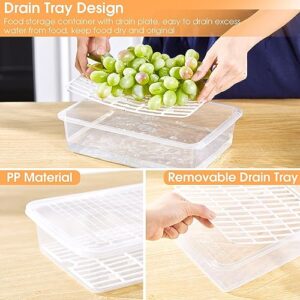 Thyle Clear Storage Bins with Lids Plastic Stackable Fridge Organizers with Removable Drain Tray Keep Fresh Food Storage Containers for Fridge Refrigerator Fruit Vegetables Pantry (9 Pcs,XL, L, S)