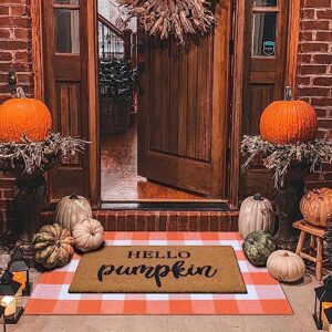 fall decor doormat combo set, 100% coco coir welcome mat + 28 x 43 inches orange and white plaid rug - fall thanksgiving front porch entryway decor floor mat, indoor outdoors autumn mats hello pumpkin